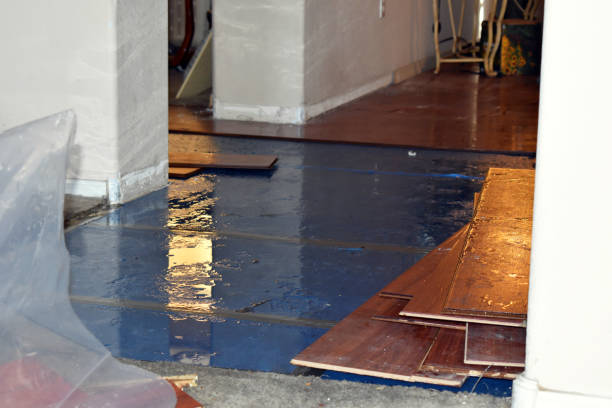 Professional Burst Pipe Cleanup technician working in Dexter, ME